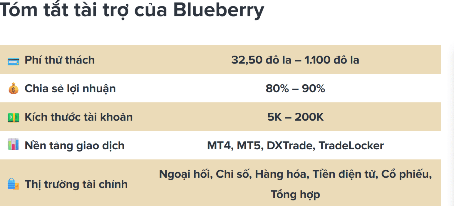 Tóm tắt thông tin quỹ blue berry